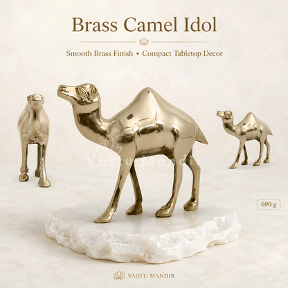 Plain Finish Brass Camel Idol Vastu Remedy for Career Progress, Business Stability and Endurance Support for Home and Office | 16 x 16 cm, 780 gm