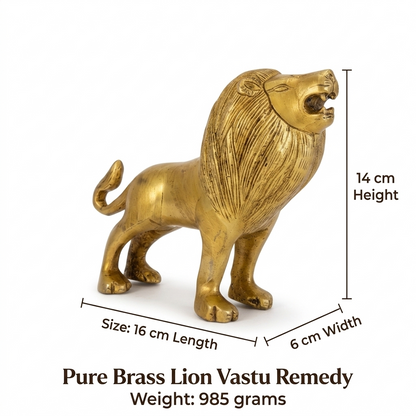 Brass lion statue with measurements on a white background