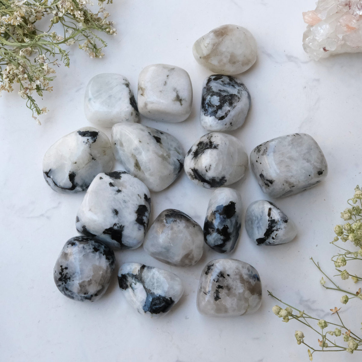 Close view of rainbow moonstone pieces on a decorative white plate in a softly lit traditional setting