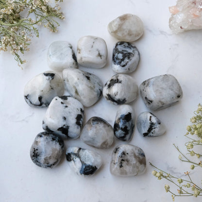 Close view of rainbow moonstone pieces on a decorative white plate in a softly lit traditional setting