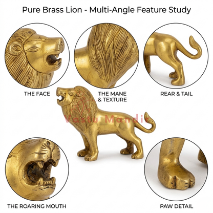 Pure Brass Lion with multi-angle feature study on a white background
