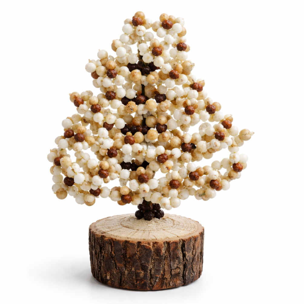 Rudraksha Gomti Chakra Tree on a white background.