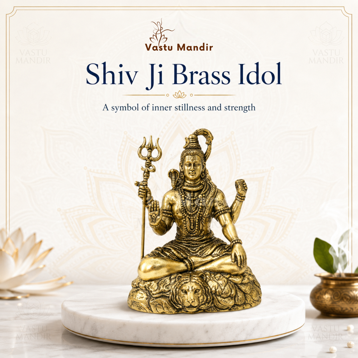 Brass Lord Shiv Ji idol close-up of the face, hair and symbolic details