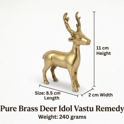 Brass deer-shaped brass idol with measurements on a white background