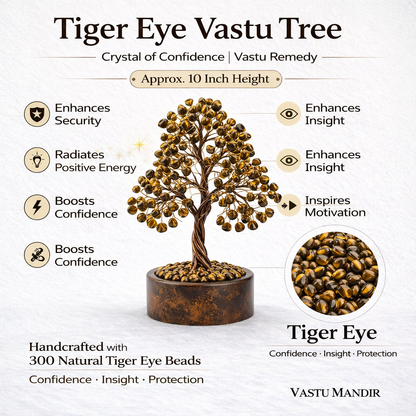Tiger Eye Vastu Tree with benefits and details on a white background