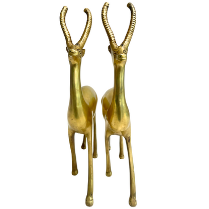 brass deer| pair of brass deer for home| brass deer for office| big brass deer| home decor brass item| premium vastu brass deer showpiece| handicraft brass product| vastu mandir products| vastu shastra