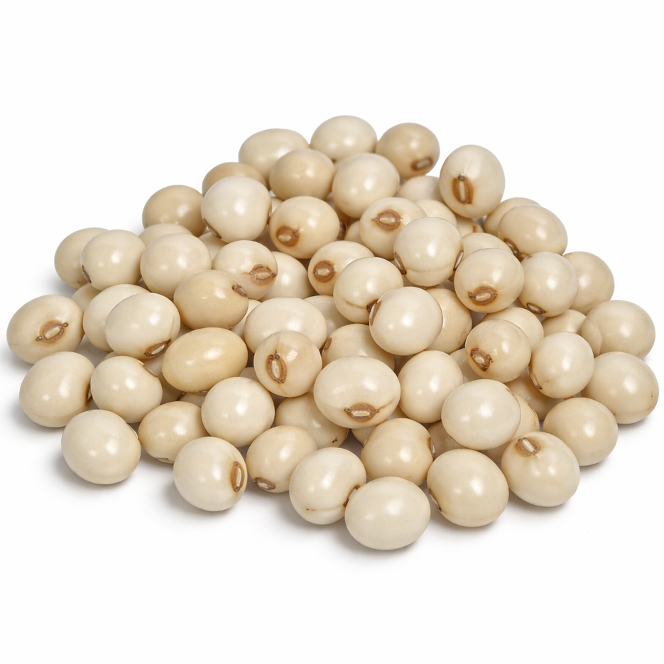 White Gumchi Seeds on a white background
