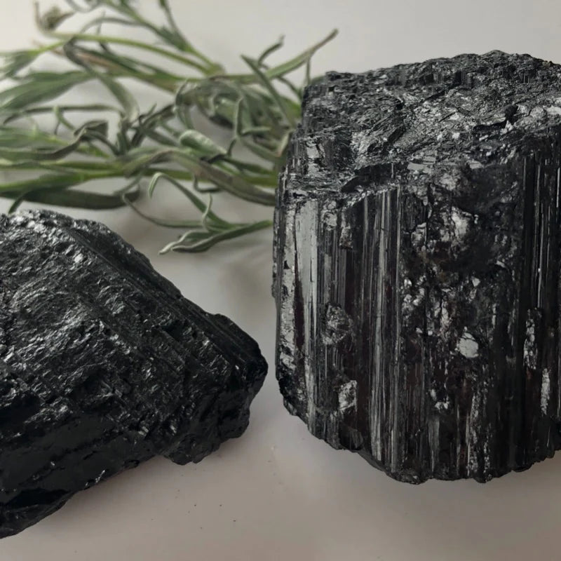 Large striated black tourmaline specimen photographed beside green bamboo leaves