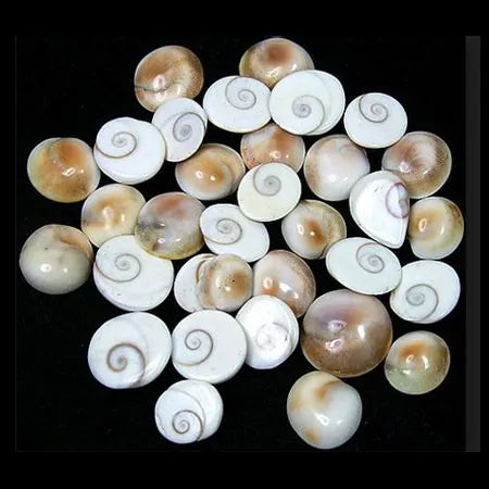  Gomati Chakra, gemstone, vastu stone, real gemstones, vastu mandir gomti chakra, vastu beefits, gomti stone for ring or Jewelry, vastu positive crystal stones, vastu mandir, raja gomti chakra stone