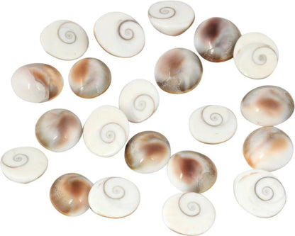  Gomati Chakra, gemstone, vastu stone, real gemstones, vastu mandir gomti chakra, vastu beefits, gomti stone for ring or Jewelry, vastu positive crystal stones, vastu mandir, raja gomti chakra stone