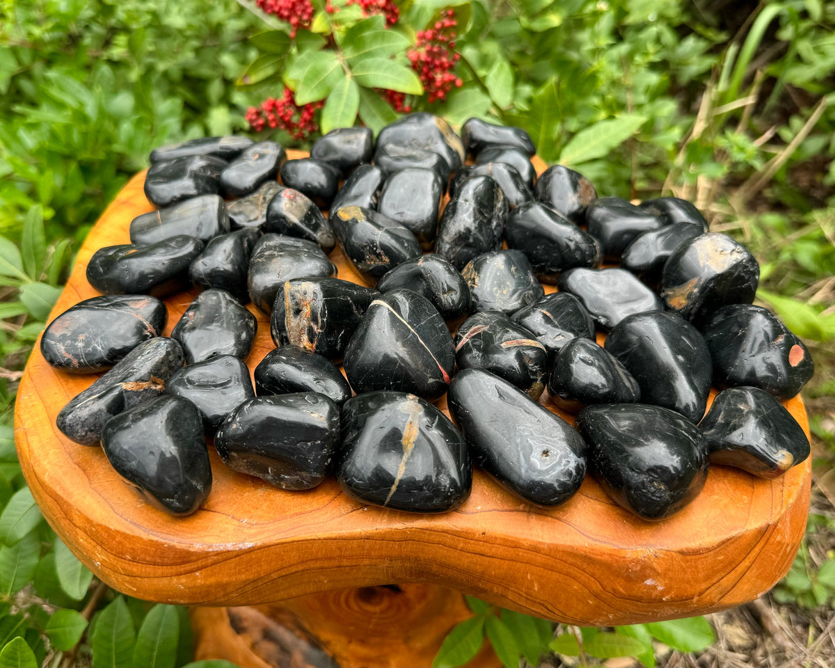 Black onyx tumbled stones photographed outdoors among green leaves to show natural variation