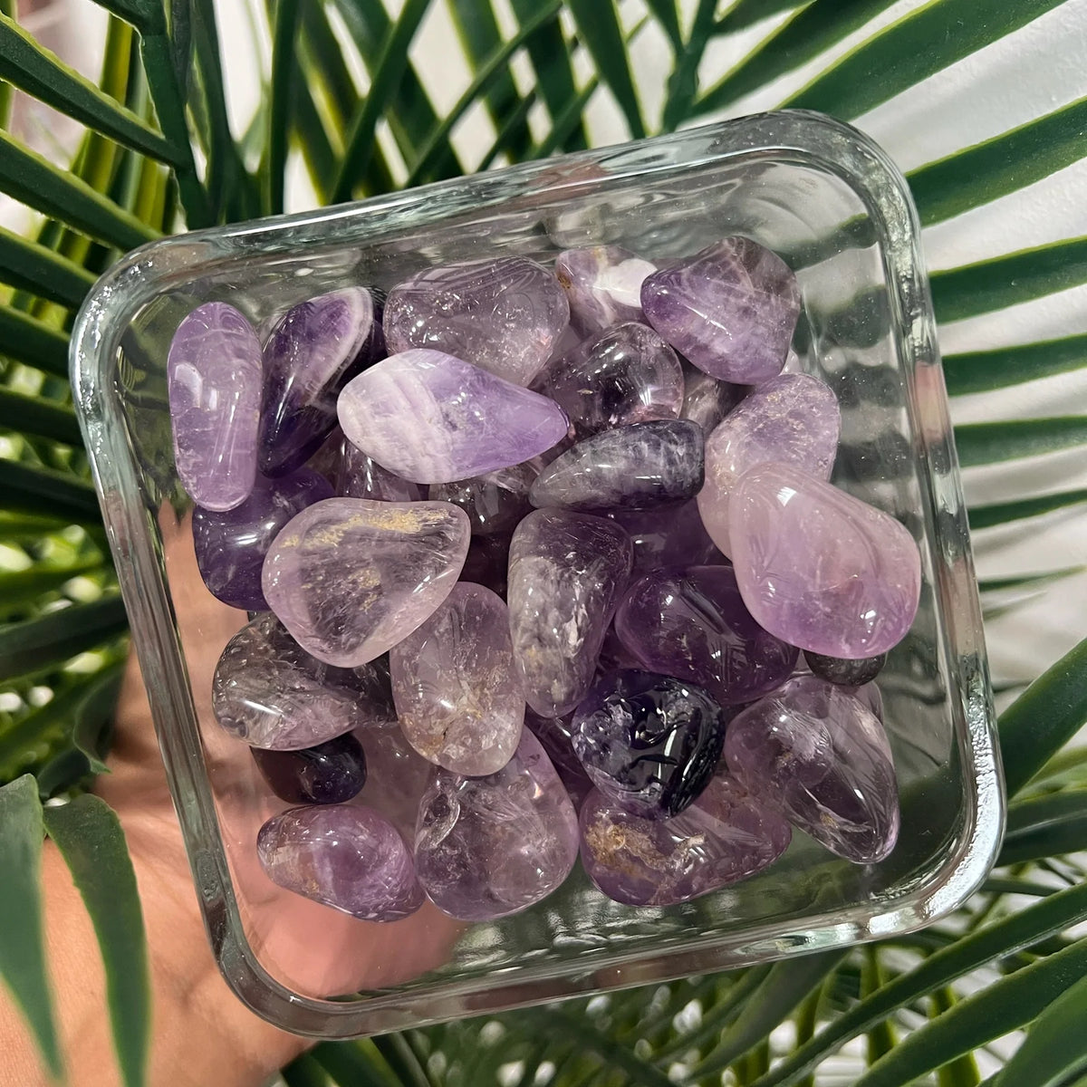 Container of rough amethyst chunks photographed outdoors among green leaves