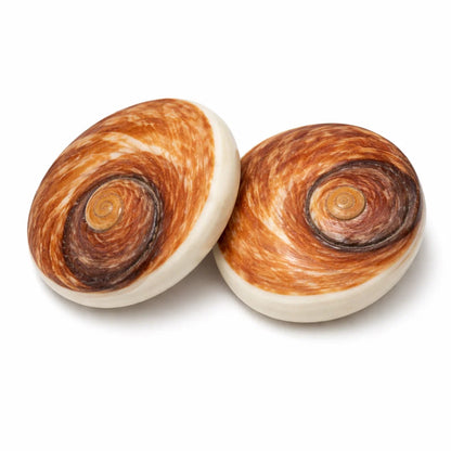 Gomti chakra shells centred in a white-background product photograph