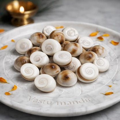 Gomti chakra shells on a marble plate with 'Vastu mandir' engraving.