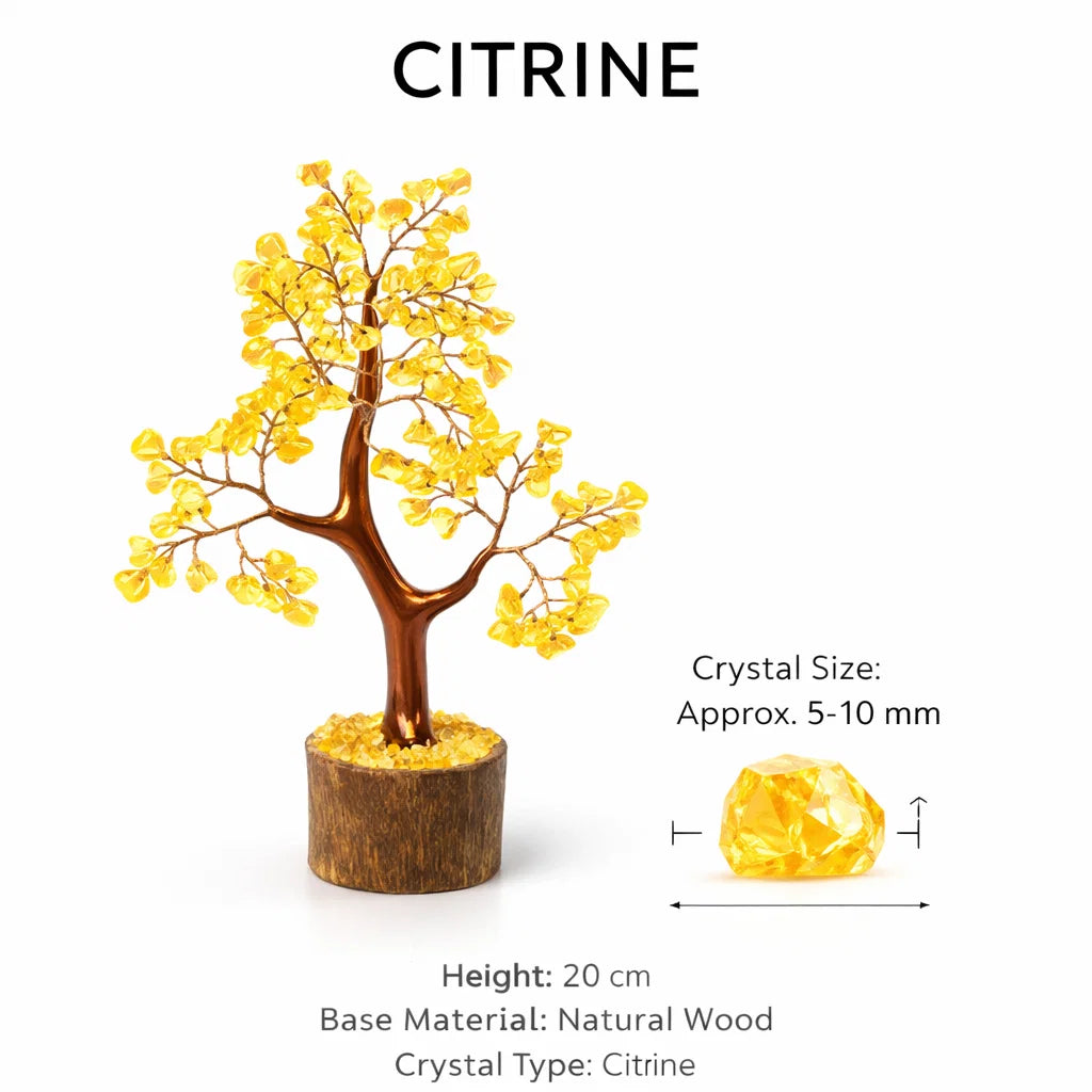 Citrine money tree shown in a clear white-background tree view