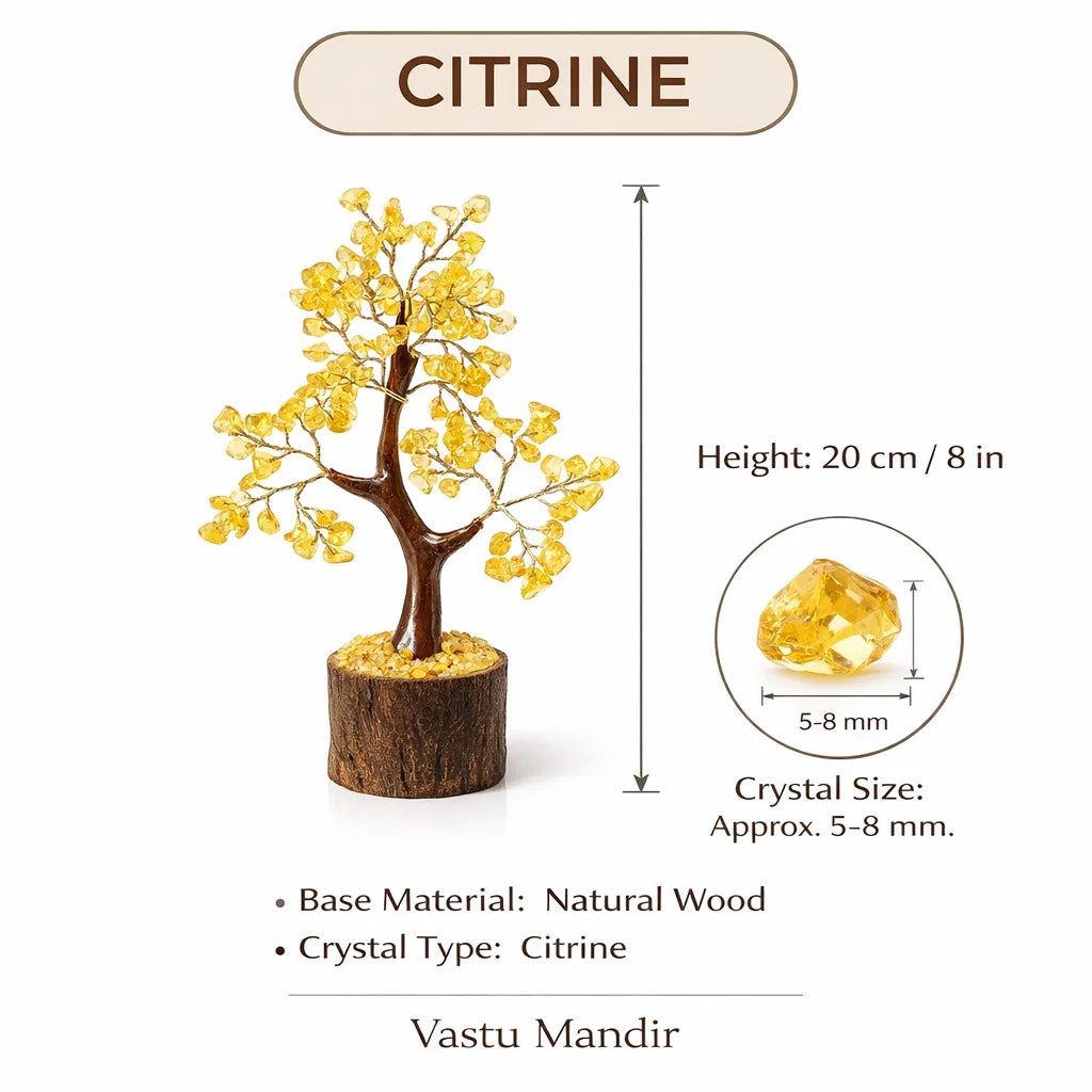 Citrine money tree information graphic showing visible product details