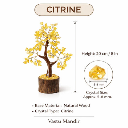 Citrine money tree information graphic showing visible product details
