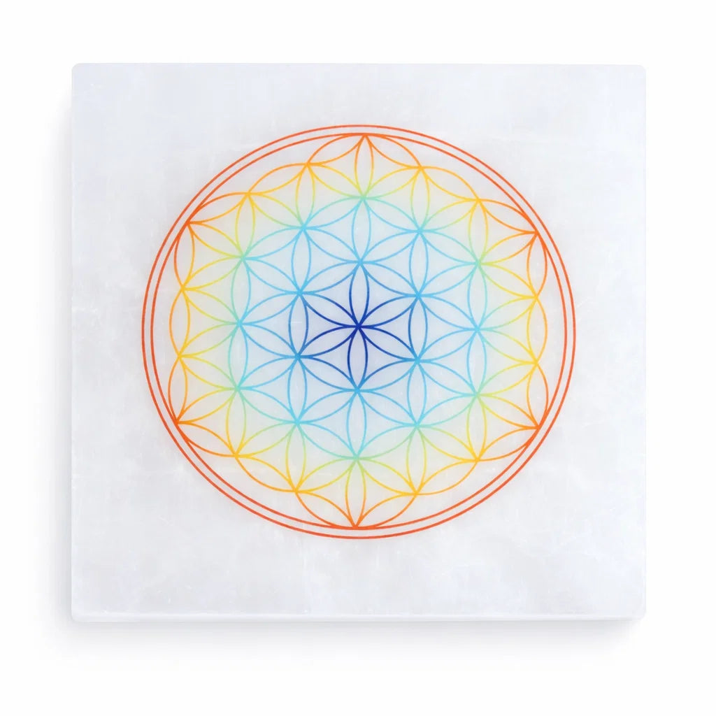 Mandala selenite plate showing its form against a plain white background