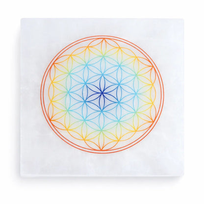 Mandala selenite plate showing its form against a plain white background