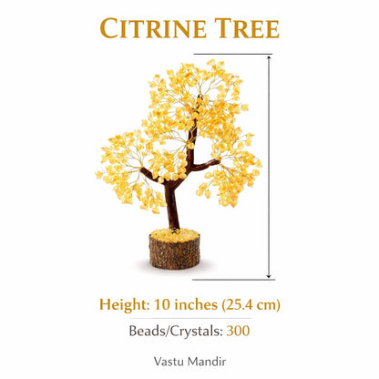 Citrine money tree on a clean white background