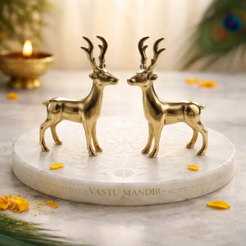 Brass deer idol Vastu remedy arranged in a styled spiritual setting