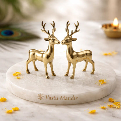 Brass deer idol Vastu remedy shown in a separate styled product photograph