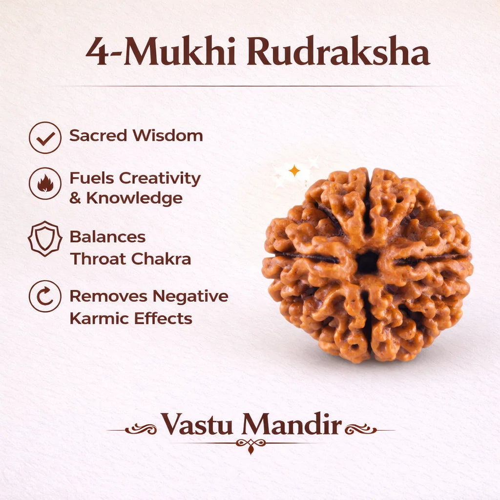 4 mukhi Rudraksha infographic summarising visible product features