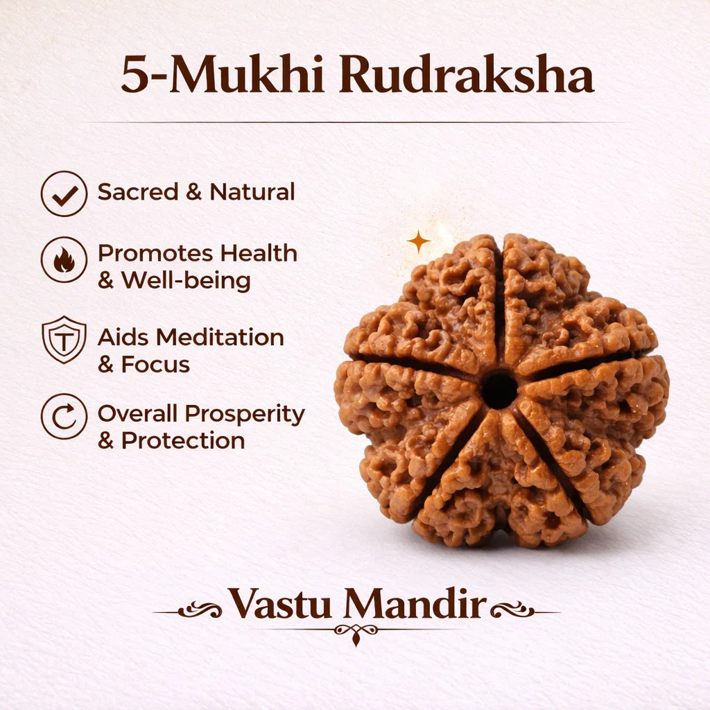 Nepali 5 mukhi Rudraksha infographic summarising visible product features